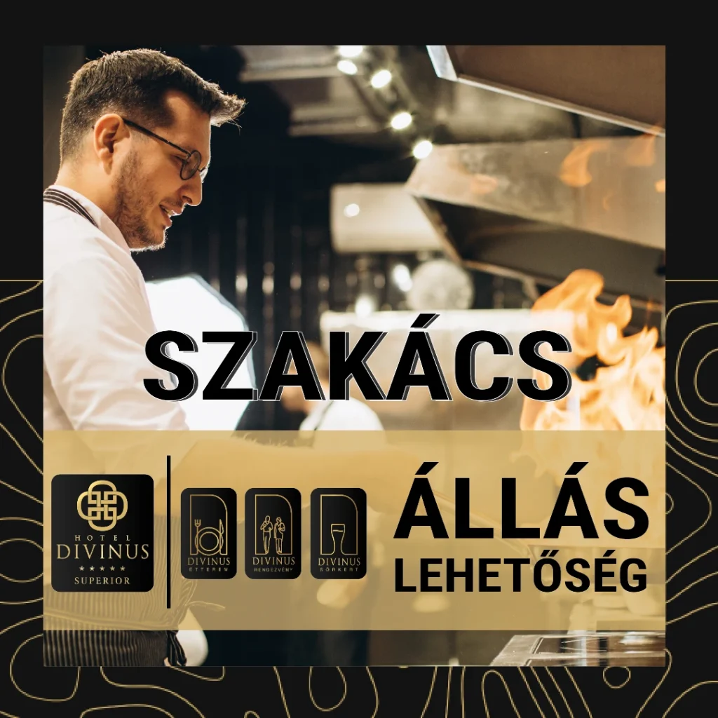 hotel divinus szakacs allashidetes
