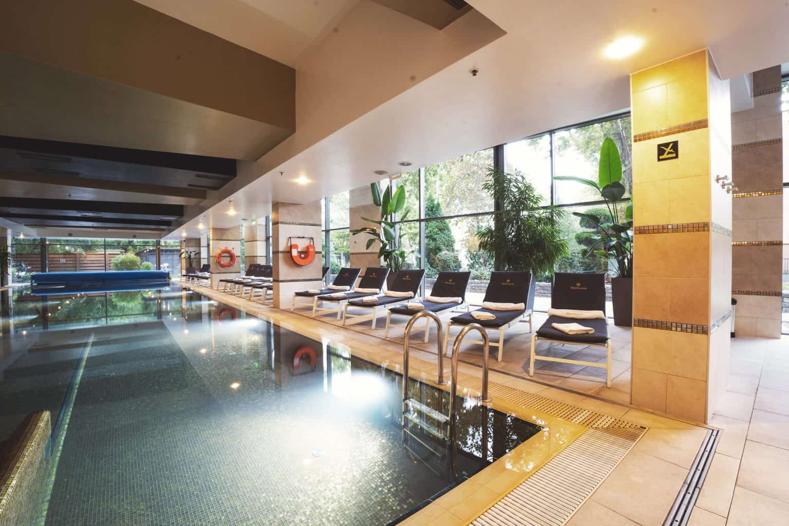 divinuswellness 23 javított